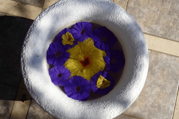Wie aus fehlern Möglichkeiten werden - gelbe und violette Blüten in weißer Schale